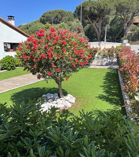 Le Restaurant - U Farniente - Restaurant Olmeto - bien manger OLMETO