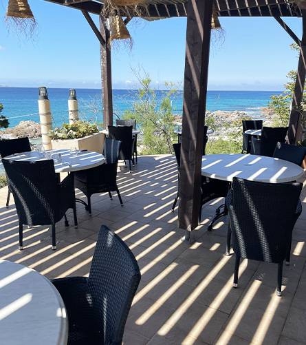 Le Restaurant - U Farniente - Restaurant Olmeto - restaurant a faire OLMETO